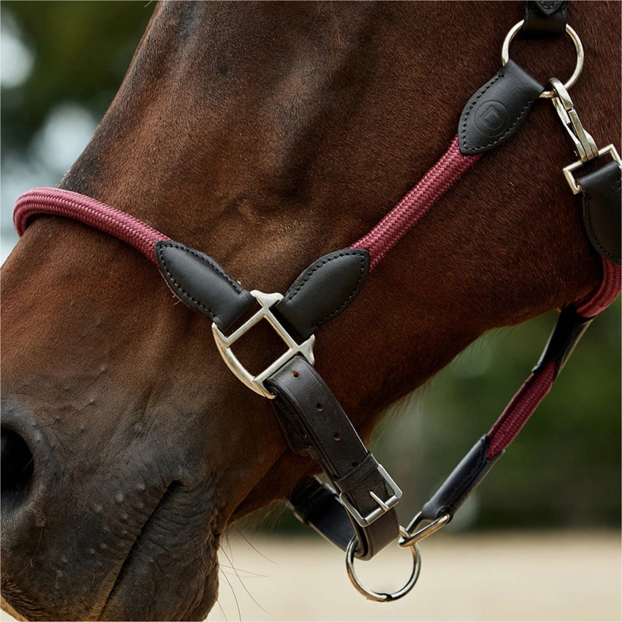 2026 Dublin Leather Rope Headcollar 1031533 - Burgundy / Brown